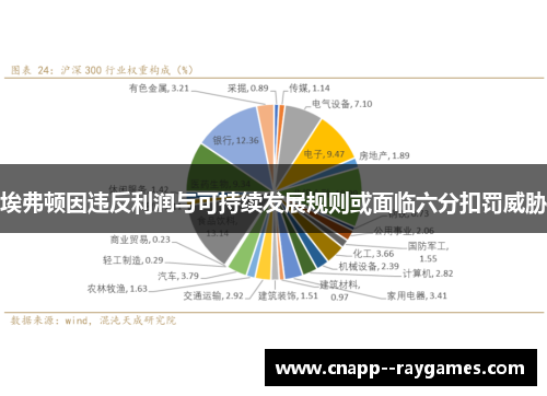 埃弗顿因违反利润与可持续发展规则或面临六分扣罚威胁