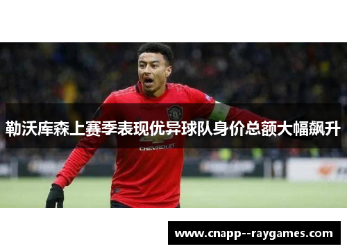 勒沃库森上赛季表现优异球队身价总额大幅飙升